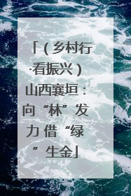 （乡村行·看振兴）山西襄垣：向“林”发力 借“绿”生金