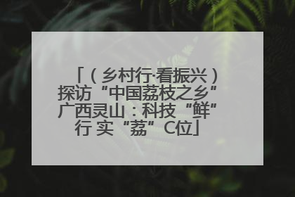 （乡村行·看振兴）探访“中国荔枝之乡”广西灵山：科技“鲜”行 实“荔”C位
