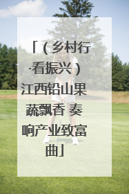 （乡村行·看振兴）江西铅山果蔬飘香 奏响产业致富曲