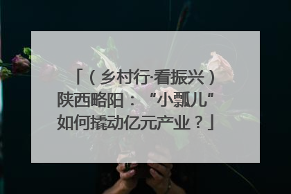 （乡村行·看振兴）陕西略阳：“小瓢儿”如何撬动亿元产业？