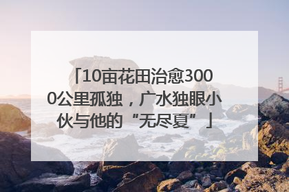 10亩花田治愈3000公里孤独，广水独眼小伙与他的“无尽夏”
