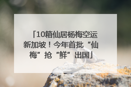 10箱仙居杨梅空运新加坡！今年首批“仙梅”抢“鲜”出国