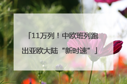 11万列！中欧班列跑出亚欧大陆“新时速”