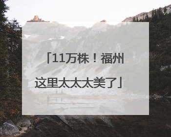 11万株！福州这里太太太美了