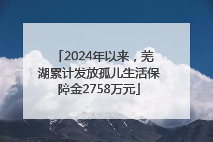 2024年以来，芜湖累计发放孤儿生活保障金2758万元