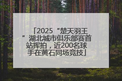 2025“楚天羽王”湖北城市俱乐部赛首站挥拍，近200名球手在黄石同场竞技