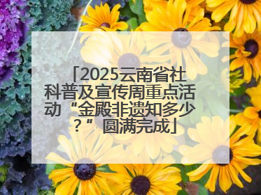 2025云南省社科普及宣传周重点活动“金殿非遗知多少？”圆满完成