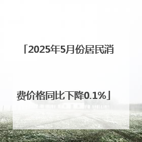 2025年5月份居民消费价格同比下降0.1%