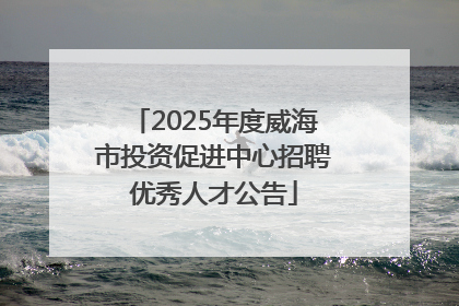 2025年度威海市投资促进中心招聘优秀人才公告