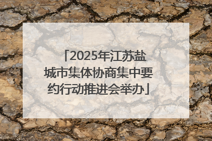 2025年江苏盐城市集体协商集中要约行动推进会举办
