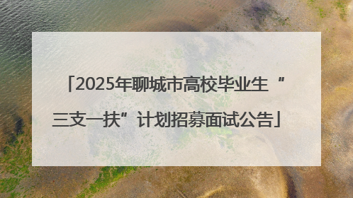 2025年聊城市高校毕业生“三支一扶”计划招募面试公告