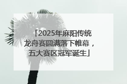 2025年麻阳传统龙舟赛圆满落下帷幕，五大赛区冠军诞生