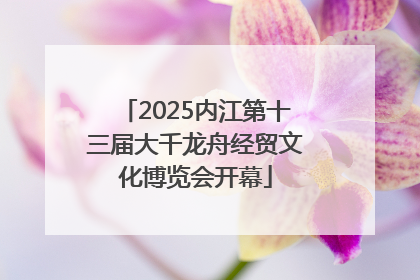 2025内江第十三届大千龙舟经贸文化博览会开幕