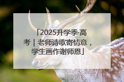 2025升学季·高考｜老师诗歌寄情意，学生画作谢师恩