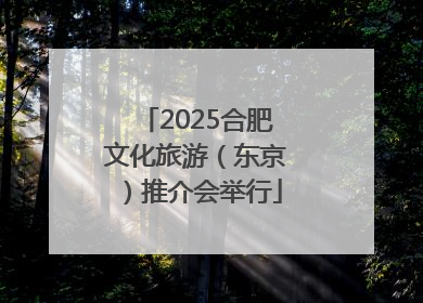 2025合肥文化旅游（东京）推介会举行