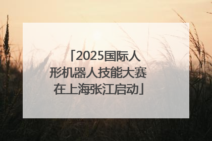 2025国际人形机器人技能大赛在上海张江启动