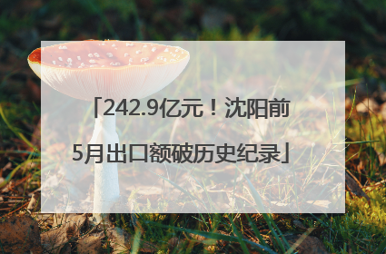 242.9亿元！沈阳前5月出口额破历史纪录