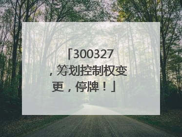 300327，筹划控制权变更，停牌！