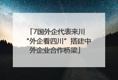 7国外企代表来川 “外企看四川”搭建中外企业合作桥梁