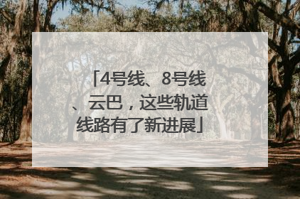 4号线、8号线、云巴，这些轨道线路有了新进展