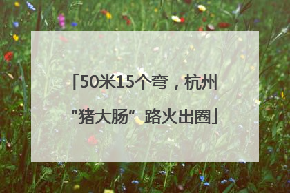 50米15个弯，杭州“猪大肠”路火出圈
