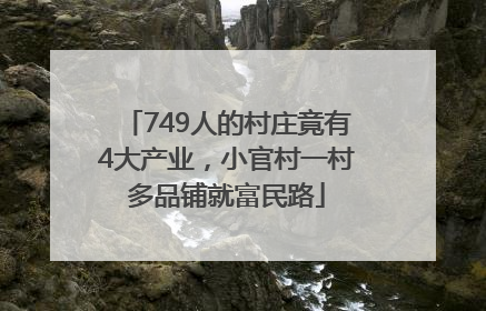 749人的村庄竟有4大产业，小官村一村多品铺就富民路
