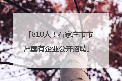 810人！石家庄市市属国有企业公开招聘