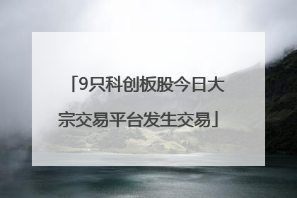 9只科创板股今日大宗交易平台发生交易