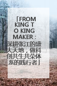 FROM KING TO KINGMAKER：深耕张江的盛大天地，做科创共生共荣体系的践行者