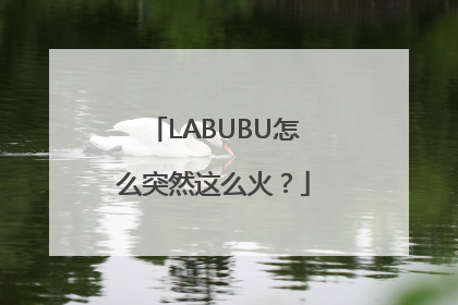 LABUBU怎么突然这么火？