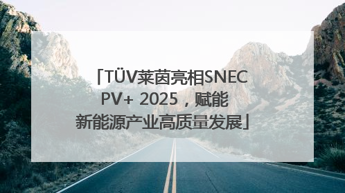 TÜV莱茵亮相SNEC PV+ 2025，赋能新能源产业高质量发展