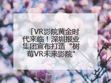 VR影院黄金时代来临！深圳报业集团宣布打造“树莓VR未来影院”_深圳新闻网